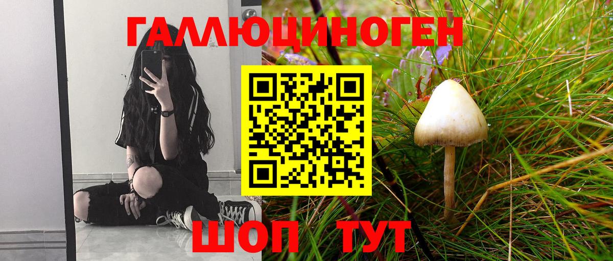 Галлюциногенные грибы прущие грибы Калач-на-Дону